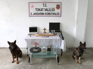 Jandarma köpekleri Uydu ve İlgi’den tarihi operasyon