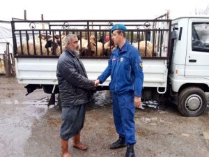 Hayvan hırsızları jandarmadan kaçamadı