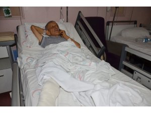 Domuz saldırısından ‘tatlı dille’ kurtuldu