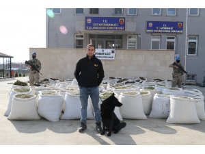 ‘Engel’ kokladı, teröristlerin finans kaynağına darbe vuruldu