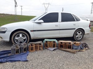 Jandarmanın yol kontrolünde keklik ele geçirdi
