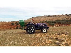 Meralarda ilkbahar gübrelemesi