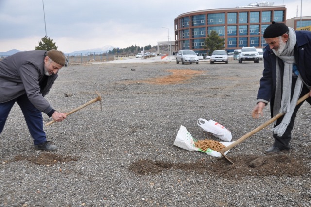 Taburcu olduğu hastanenin çevresine badem ekti