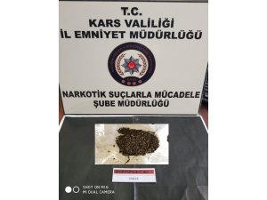 Kars’ta 2 kişi üzerinde uyuşturucu yakalandı