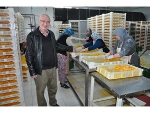 Sebze ve meyveler jeotermal enerji ile kurutuluyor