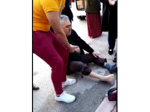 Kaldırımda yürüyen yaşlı adama Pitbull saldırdı