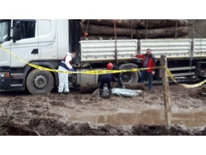 Üzerine tomruk düşen vatandaş hayatını kaybetti