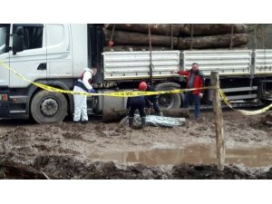 Tırdan yuvarlanan tomruk şoförün ölümüne neden oldu