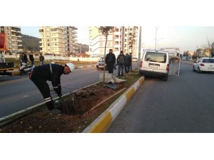 Kilitlenen direksiyon kazaya neden oldu