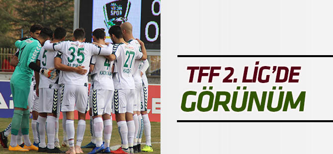 TFF 2. Lig'de görünüm