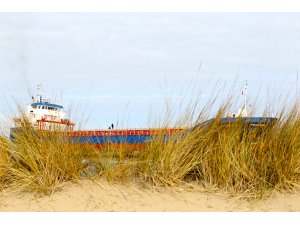 GÜNCELLEME - Kocaeli'de karaya oturan kuru yük gemisi