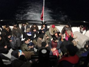 Bodrum’da 46 düzensiz göçmen yakalandı