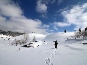 Fotoğraf tutkunlarının gözdesi Karakışla Yaylası