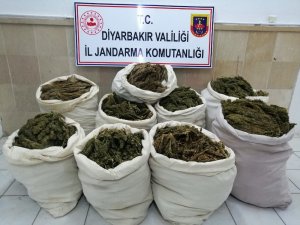 Saman yüklü kamyonda 176 kilo esrar ele geçirildi