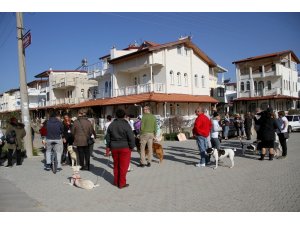 Fethiye’de sokak hayvanlarının zehirlenerek öldürülmesi protesto edildi