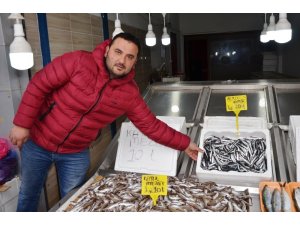 Fatsa’da hamsinin kilosu 30 TL