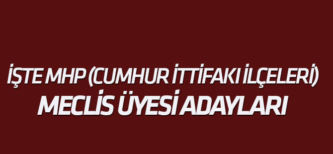 İşte MHP Konya Meclis üyesi adayları