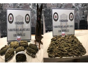 Eskişehir’de uyuşturucu operasyonu, 10 gözaltı