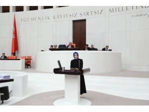 AK Parti’li Ayvazoğlu: "Tespit edilen eserlerin bir kısmı da Petersburg Hermitage Müzesi’nde sergilenmektedir”