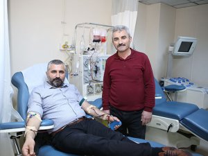 Kök hücre bağışlayan doktor hayat kurtardı