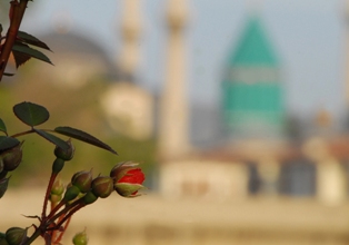 Halkapınar'da vuslat yıl dönümü kutlandı