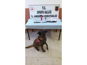 Isparta’da jandarmadan uyuşturucu operasyonu