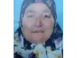Otlattığı tekenin boynuz darbeleriyle öldü