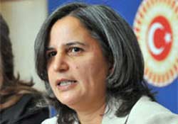 DTP'den 7 şehide ilk yorum