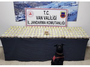 Van'da uyuşturucu operasyonu