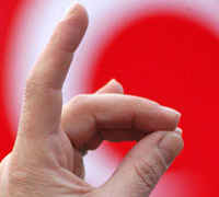 BOZKURT işaretenin anlamı ne?