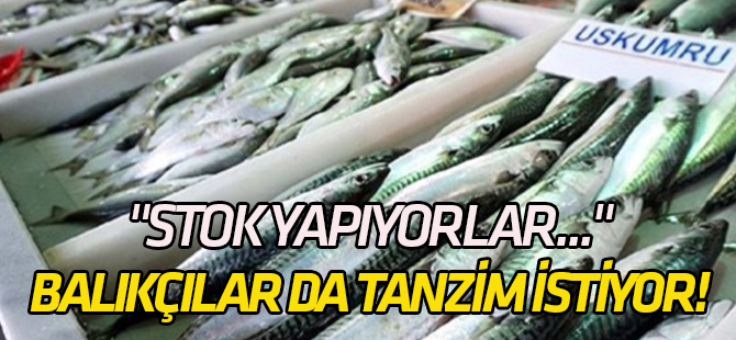 "Stok yapıyorlar..." Balıkçılar da tanzim istiyor!