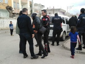 Polis ekipleri çalınan horozları buldu
