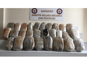 Narkotik köpeği 55 kilogram esrar buldu