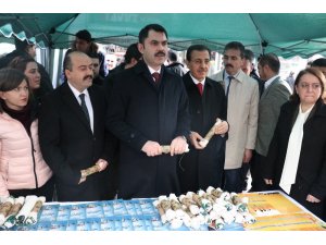 “Hedefimiz yüzde 90 oranında plastik poşet kullanımını azaltmak”