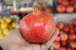 Büyükzengi meyvecilikte pilot bölge olacak