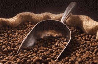 Kahve parkinson da yararlı mı?