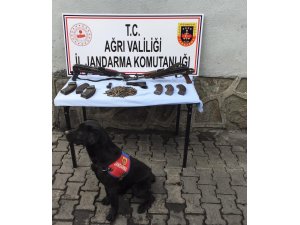 Ağrı’da kaçak silah operasyonu
