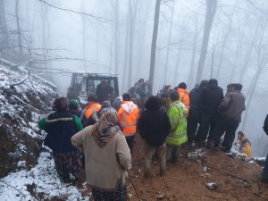 Kesilen ağacın çarptığı orman işçisi hayatını kaybetti