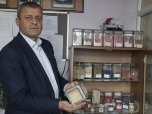 Kafes kuşlarının "darı"sı Altınekin'den