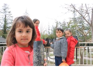 "Bu seçimin galibi doğa olacak"