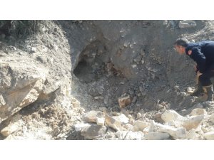 Kayalıklara sıkışan köpek kurtarıldı