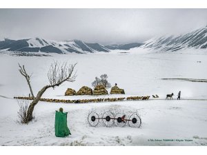 En iyi ‘tarım’ fotoğrafları