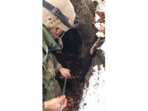 Ağaç kovuğunda teröristlere ait silah ve mühimmat bulundu