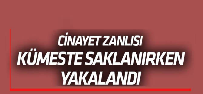 Cinayet zanlısı kümeste saklanırken yakalandı