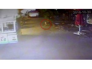 Söke’deki AVM’de köpeklerin bulduğu bebek cesedi olayı aydınlatıldı