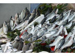 Ordu’da tezgahları kültür balıkları süslüyor