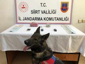 Siirt’te 1 kilo 100 gram esrar ele geçirildi