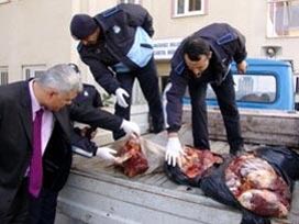 At etini Konya'ya getiriyorlarmış!