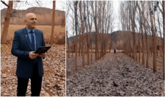 SP'li başkan adayı vaatlerini ağaçlara yaptı!