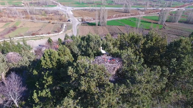 Beyşehir'deki Leylekler Tepesi"çevre koruma projesi"ne alınıyor